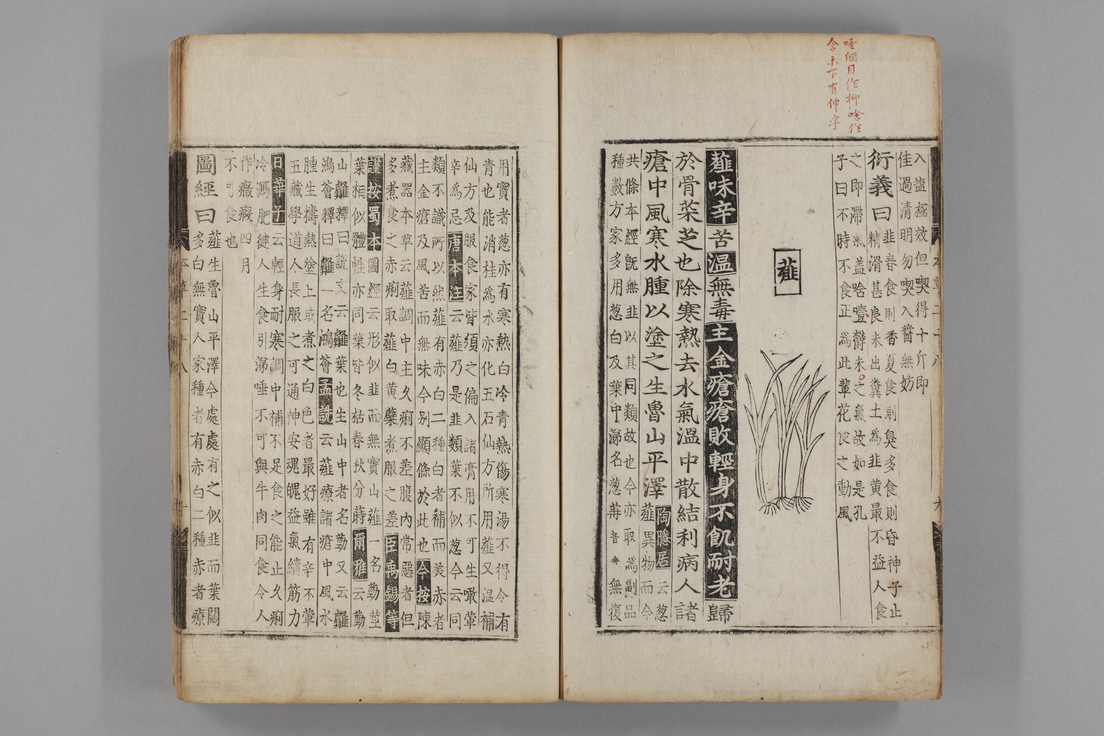 증류본초 해백 0024-0011_해백.jpg