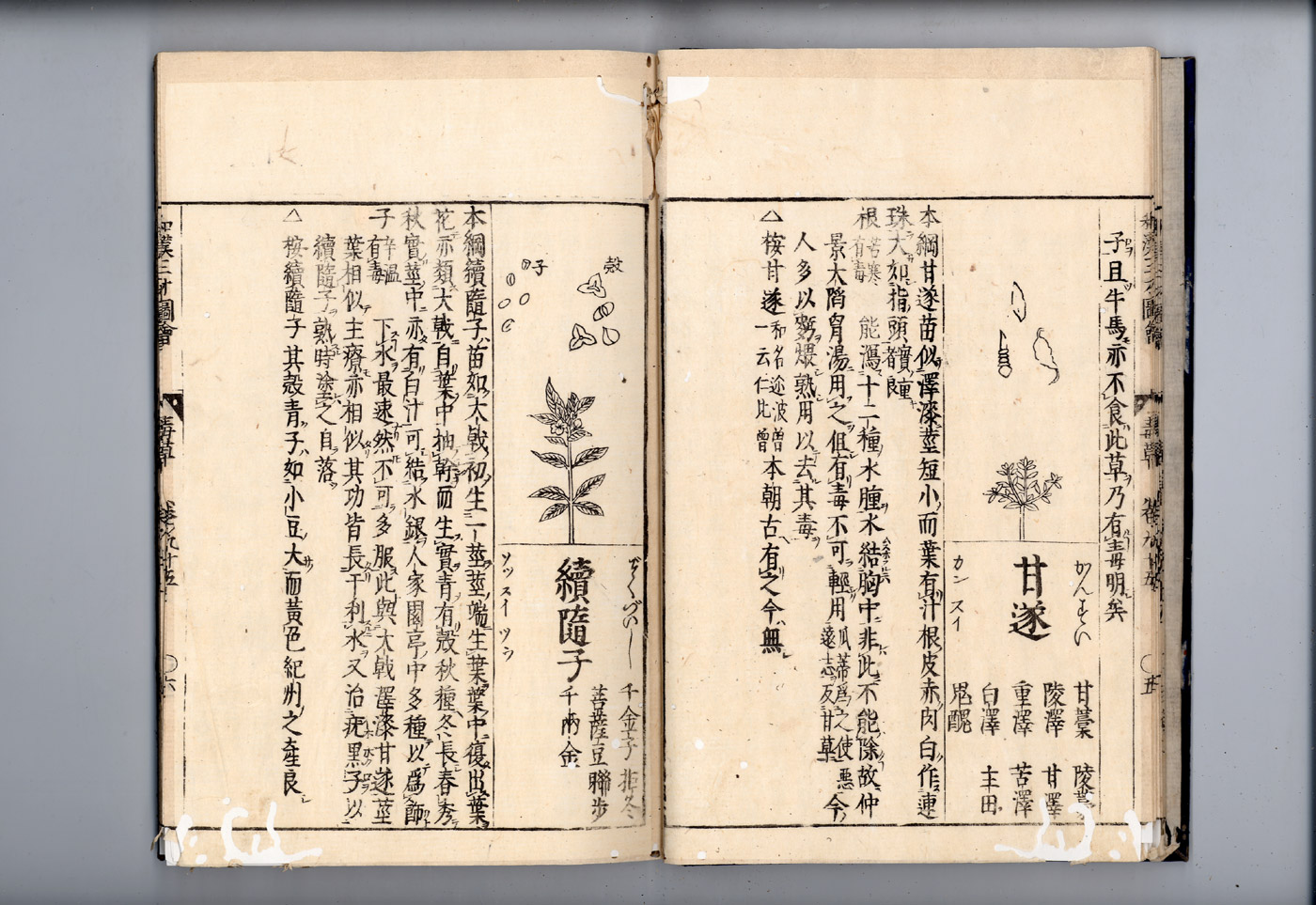 화한삼재도회 감수 감수.jpg