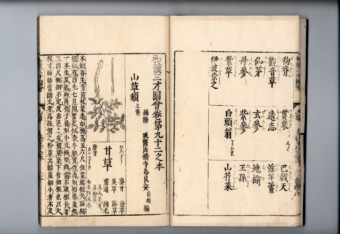 화한삼재도회 감초 감초1.jpg