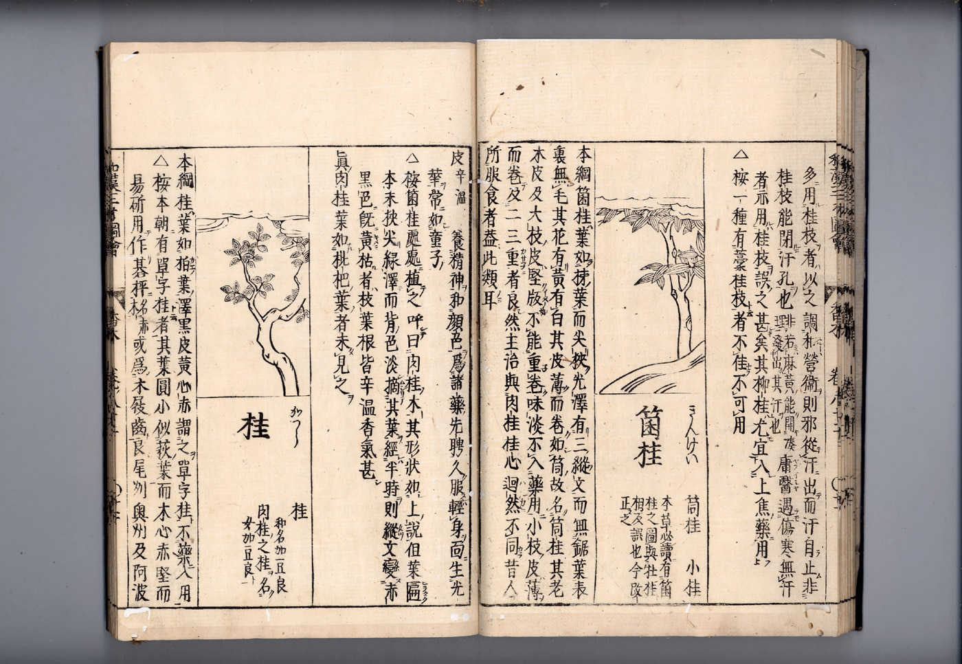 화한삼재도회 계지 계지1.jpg