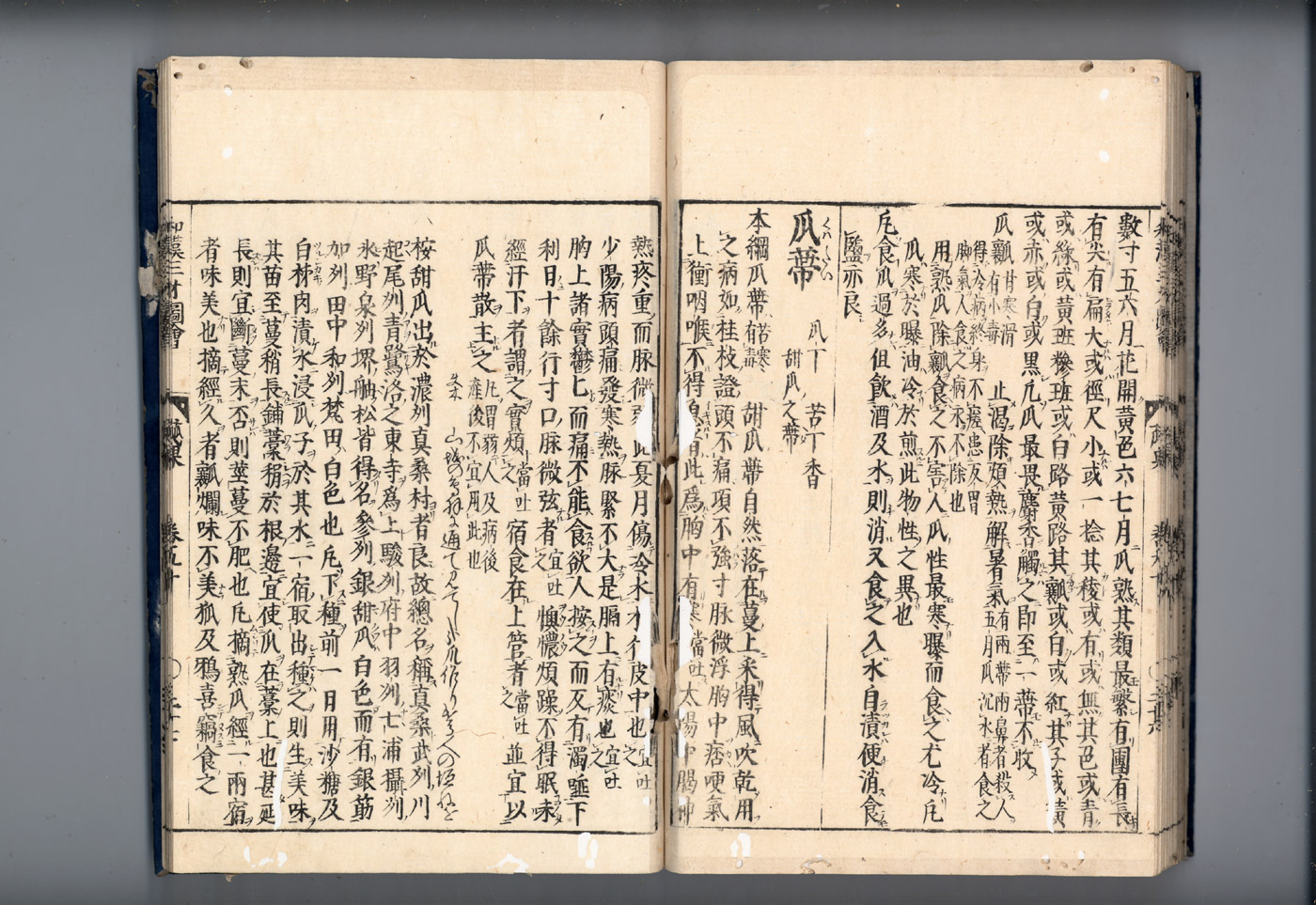 화한삼재도회 과체 과체2.jpg