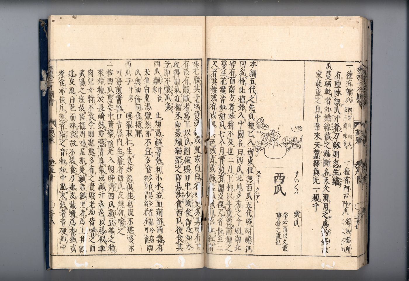 화한삼재도회 과체 과체3.jpg