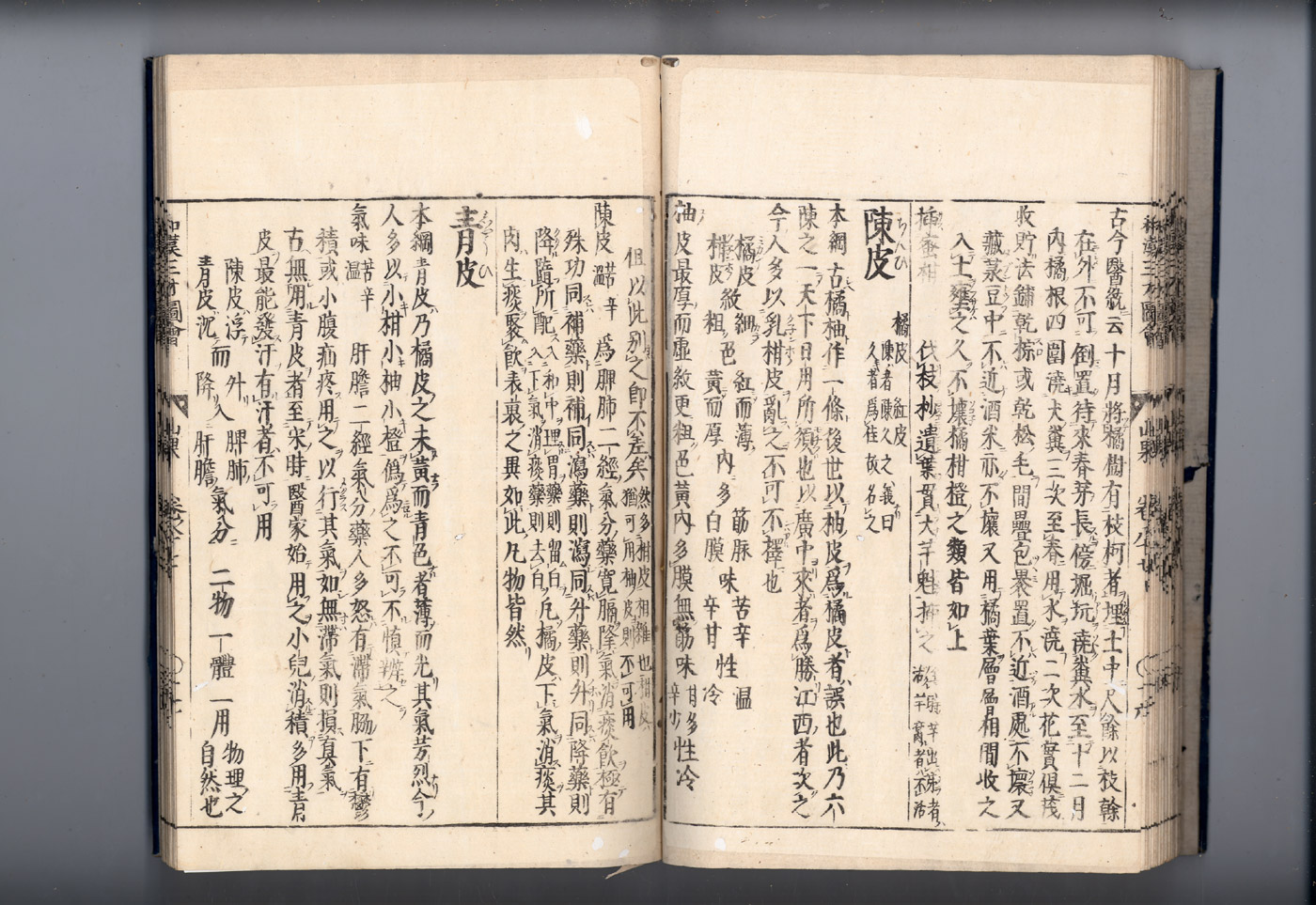 화한삼재도회 귤피 귤피3.jpg