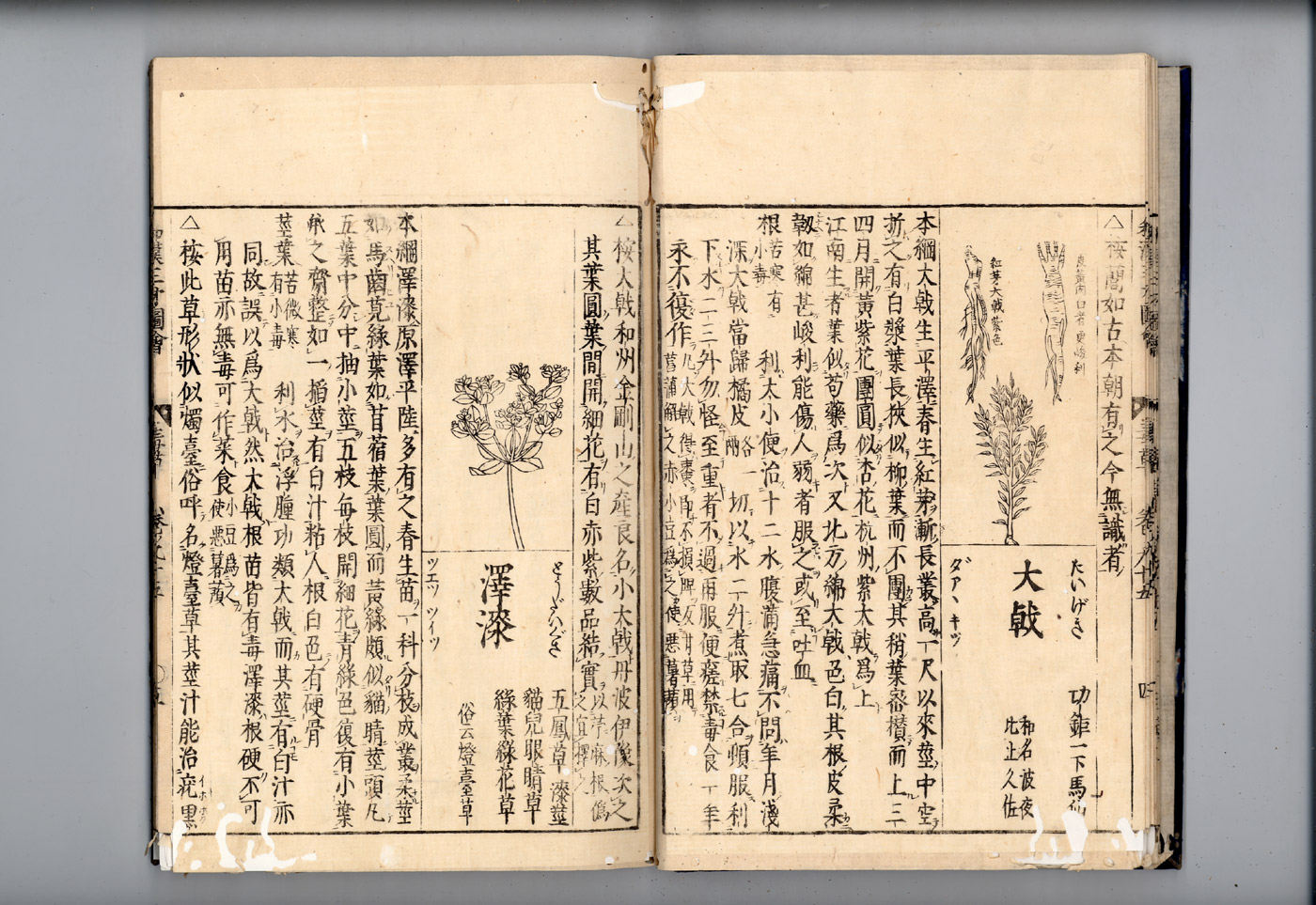 화한삼재도회 대극 대극.jpg