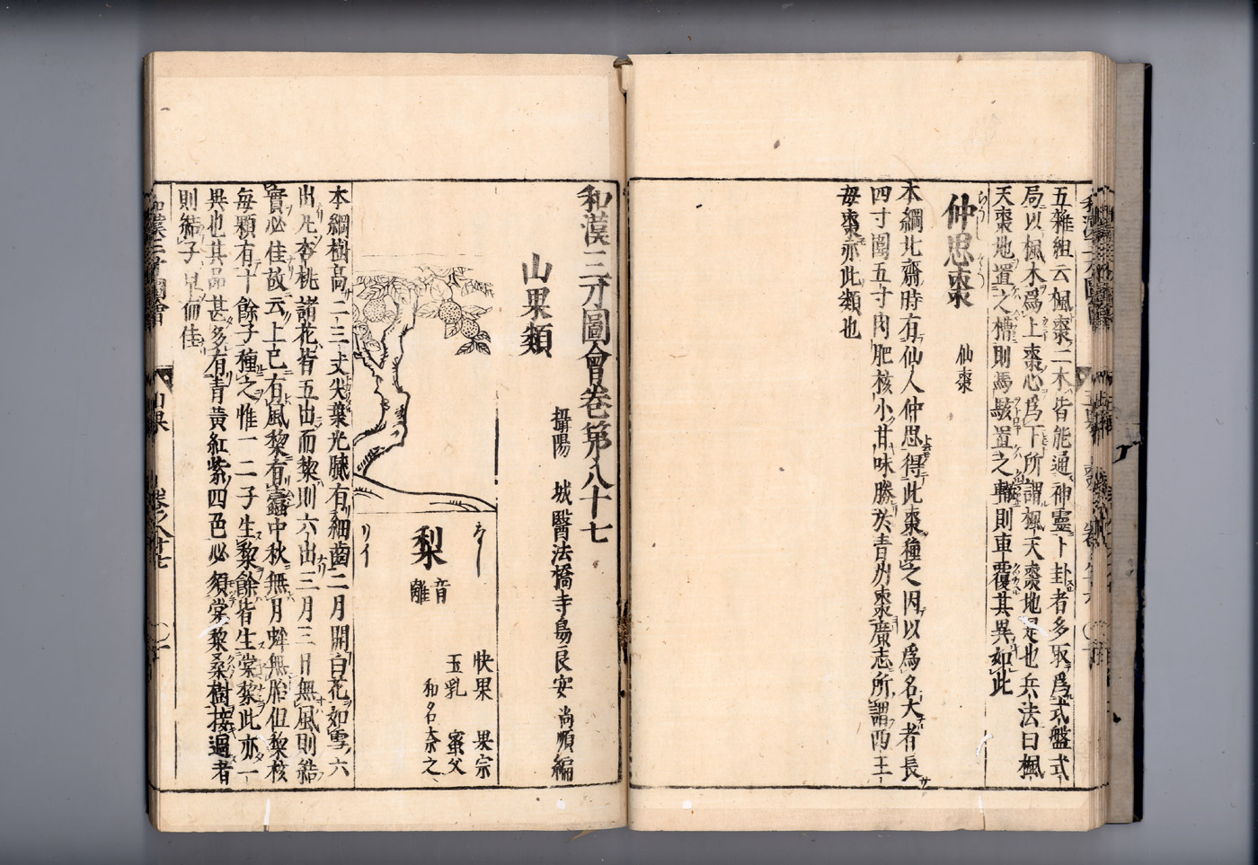 화한삼재도회 대조 대조2.jpg