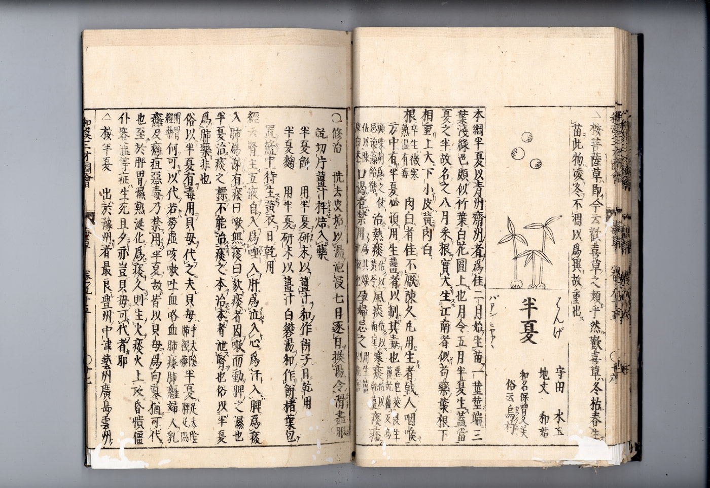 화한삼재도회 반하 반하1.jpg