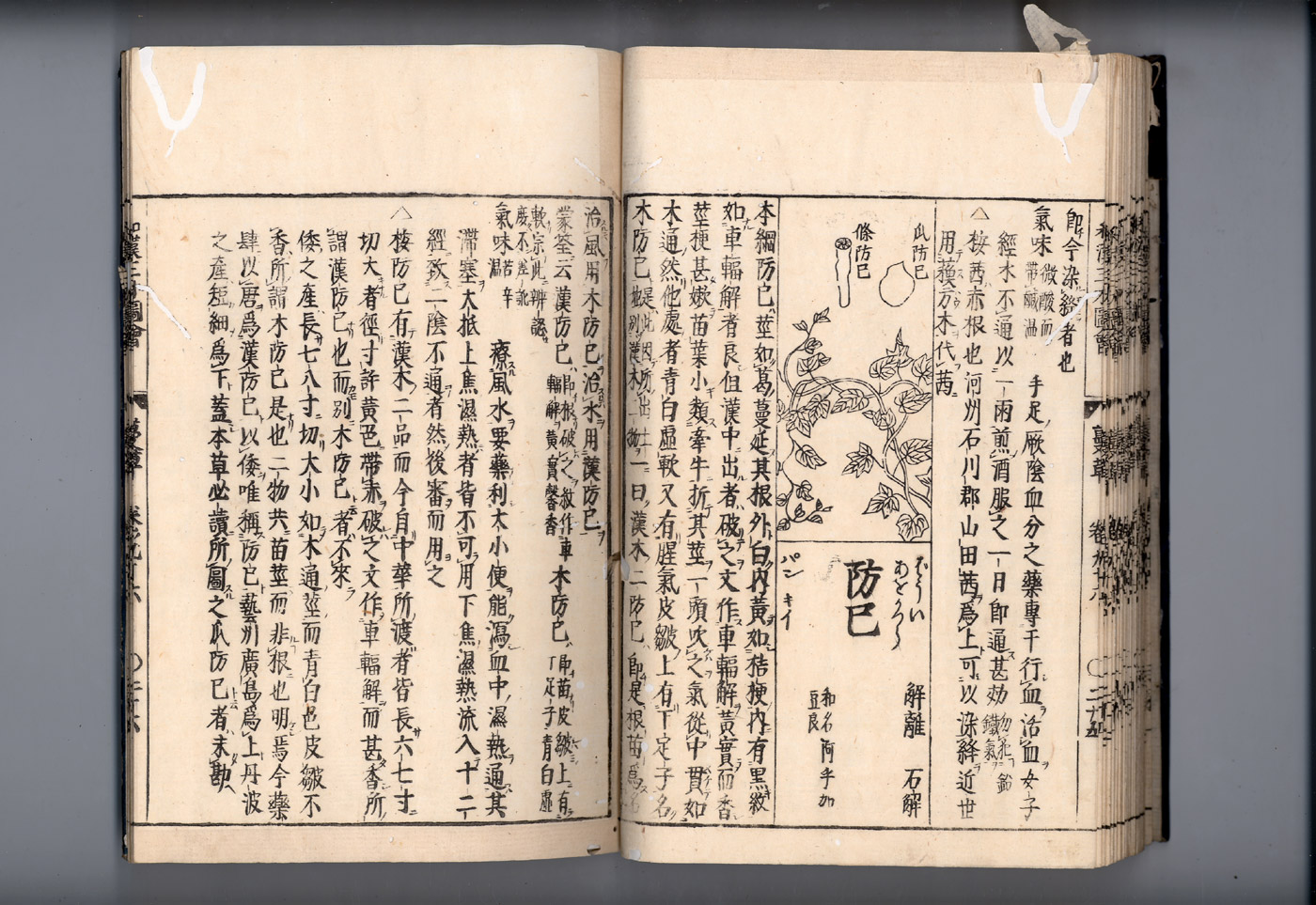 화한삼재도회 방기 방기1.jpg