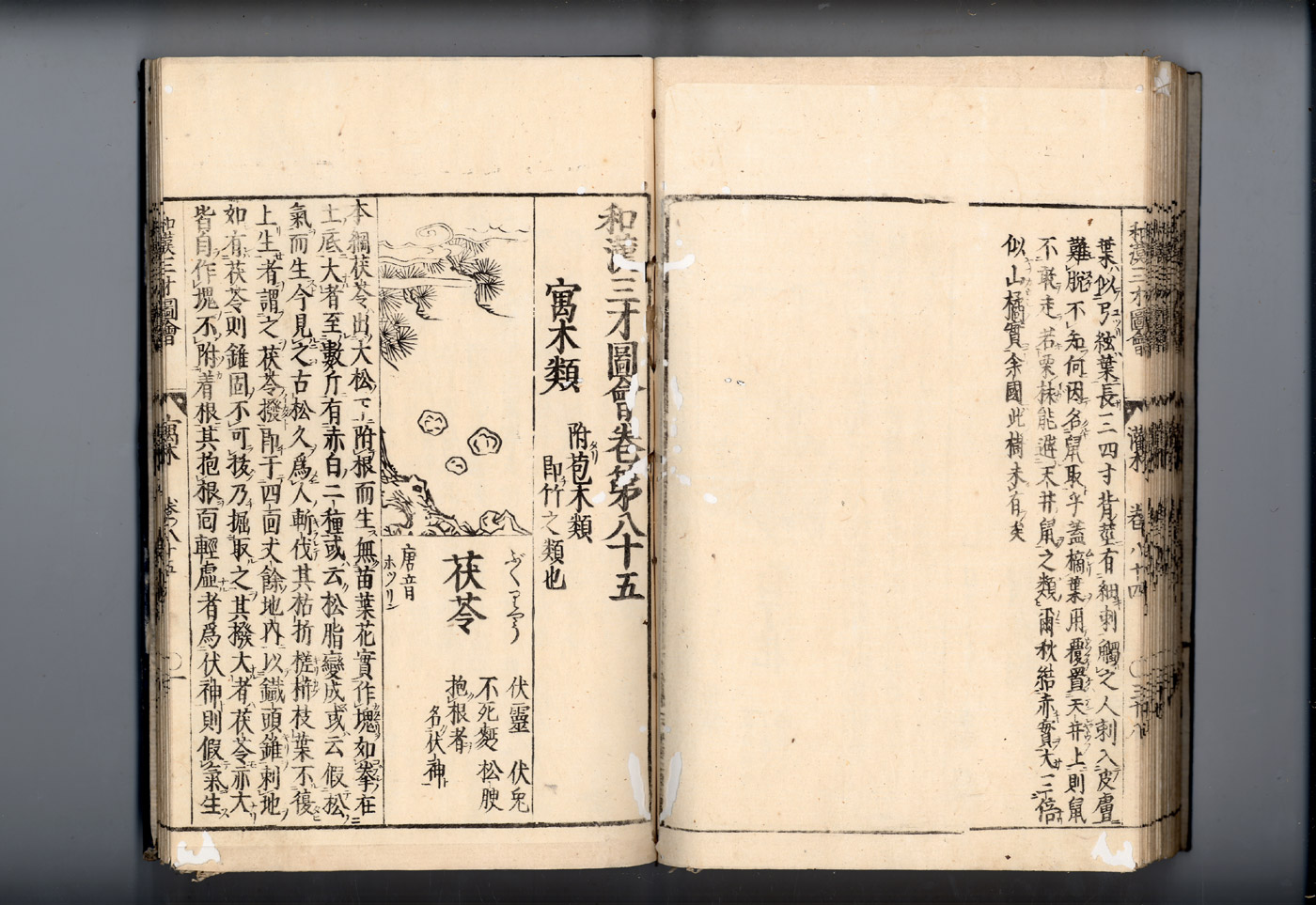 화한삼재도회 복령 복령1.jpg