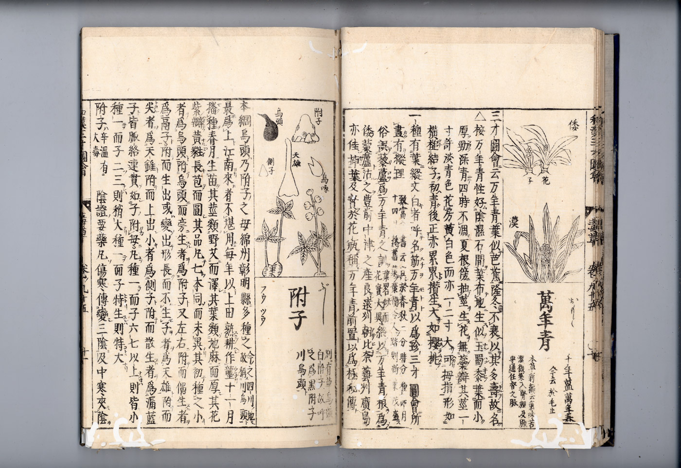 화한삼재도회 부자 부자1.jpg