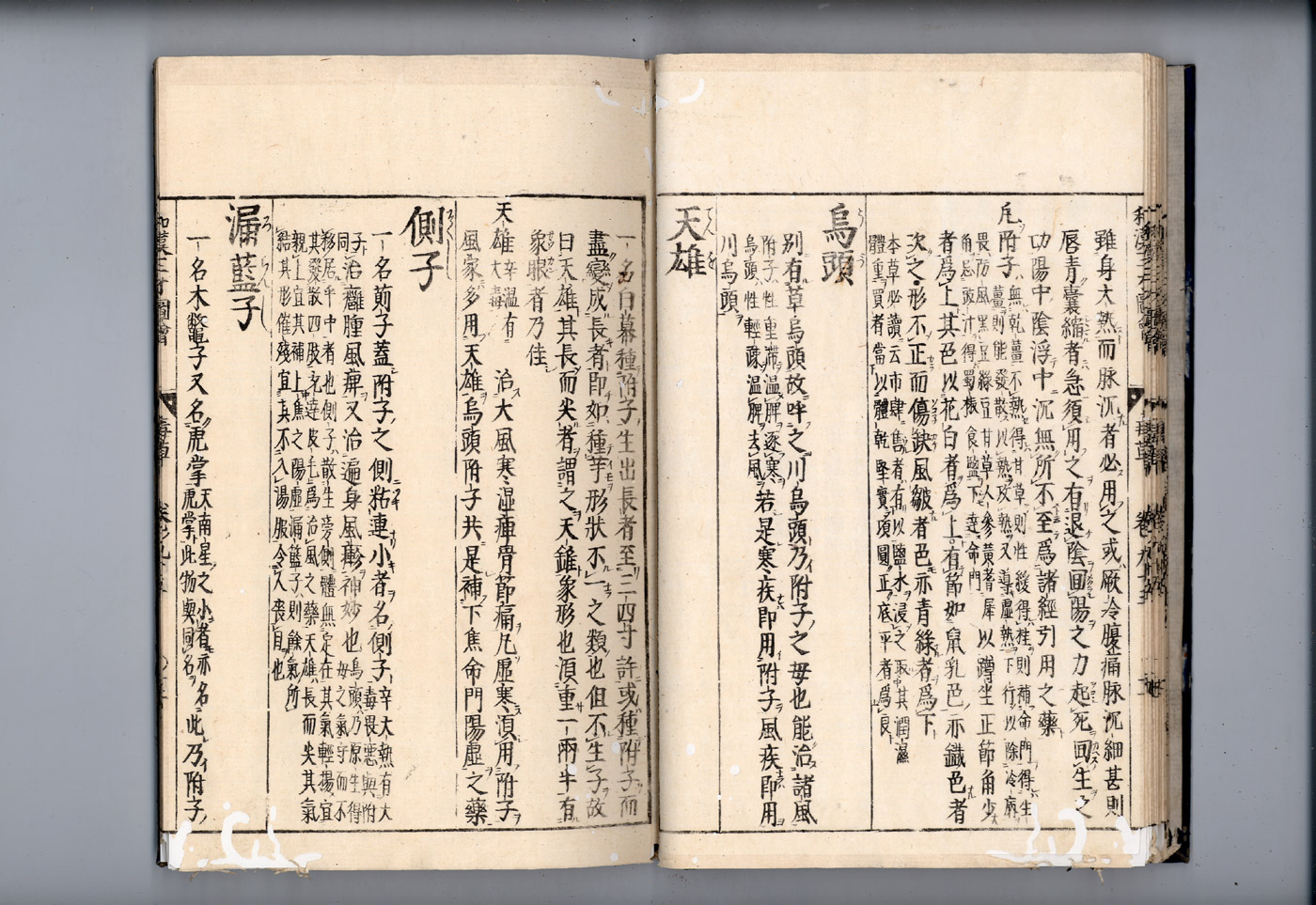 화한삼재도회 부자 부자2.jpg