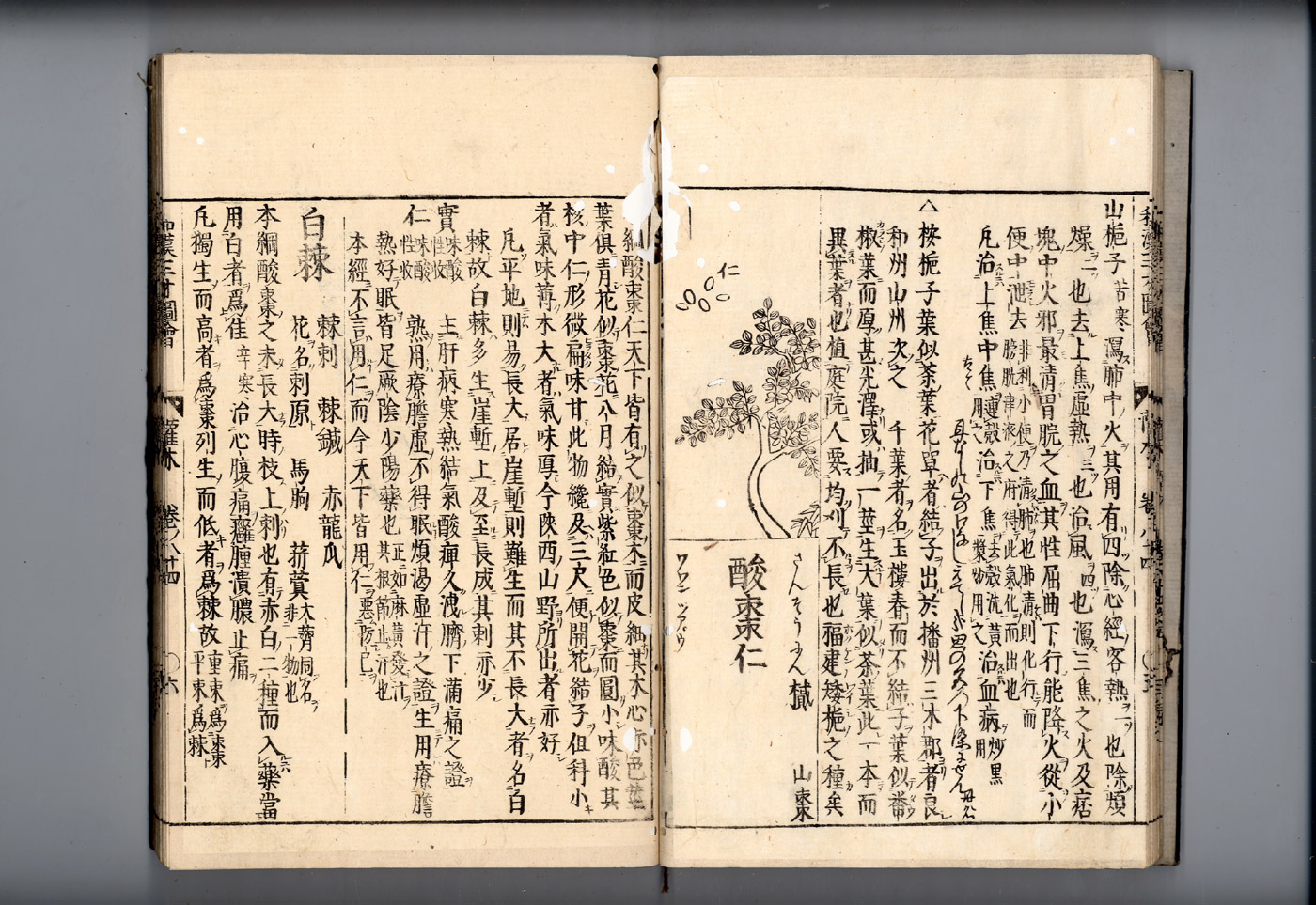 화한삼재도회 산조인 산조인.jpg