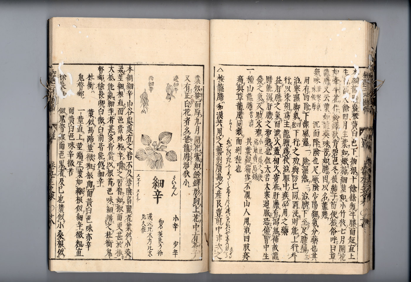 화한삼재도회 세신 세신1.jpg