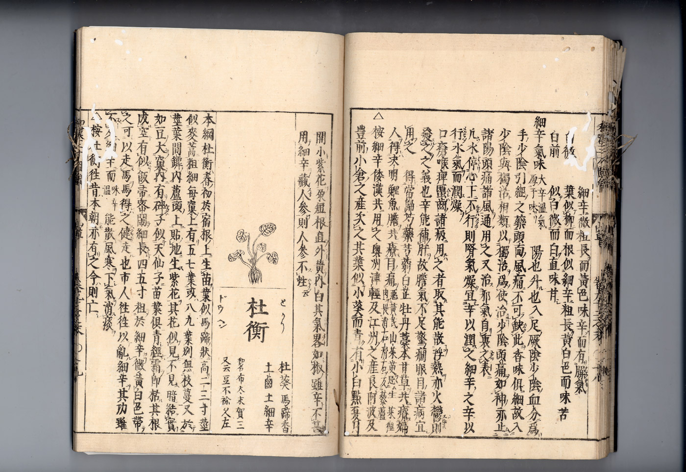 화한삼재도회 세신 세신2.jpg