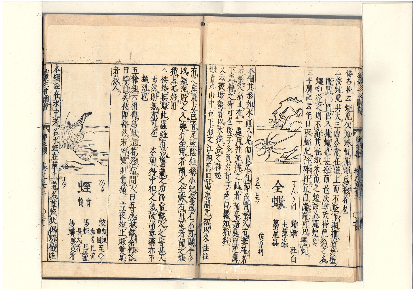 화한삼재도회 수질 수질1.jpg