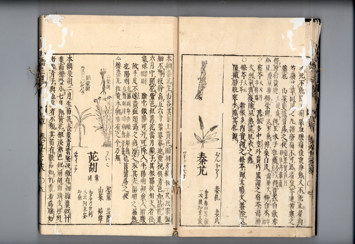 화한삼재도회 시호 시호1.jpg