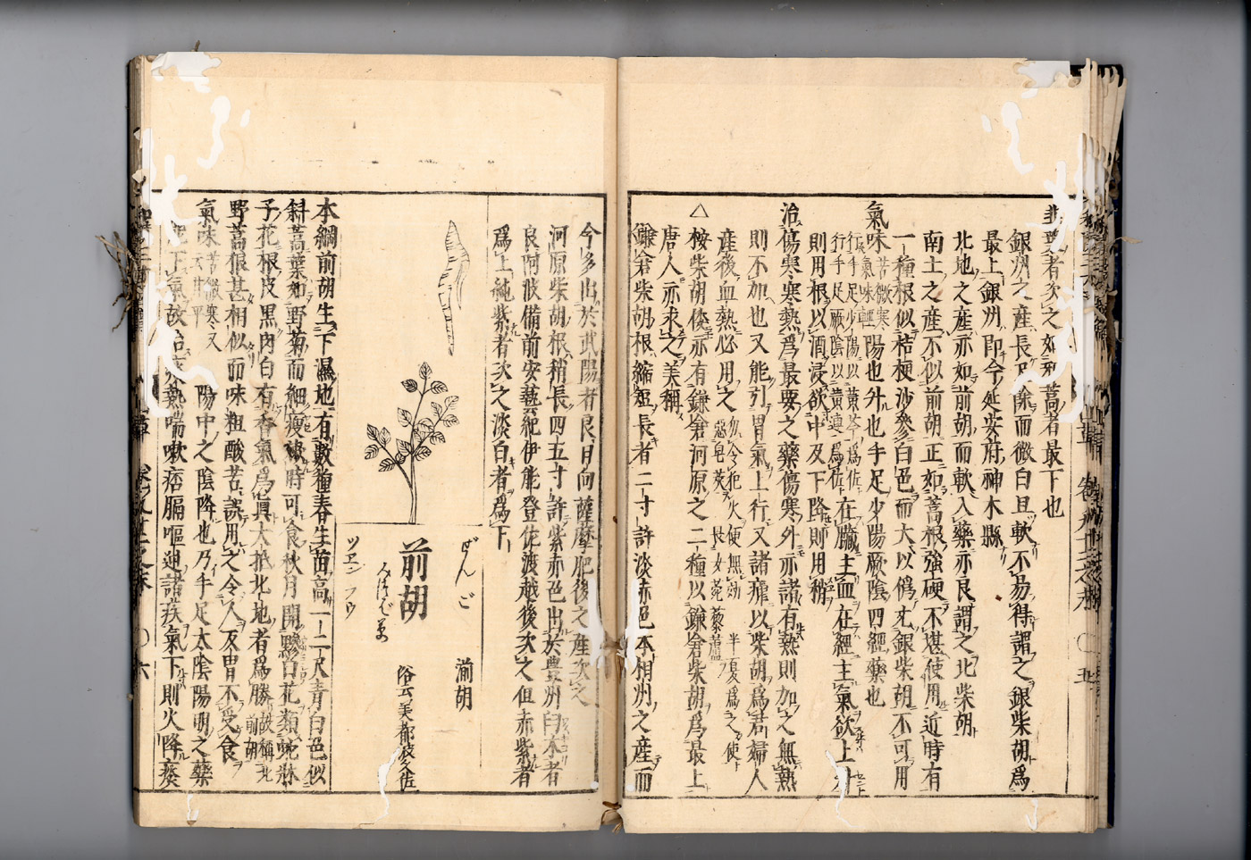 화한삼재도회 시호 시호2.jpg