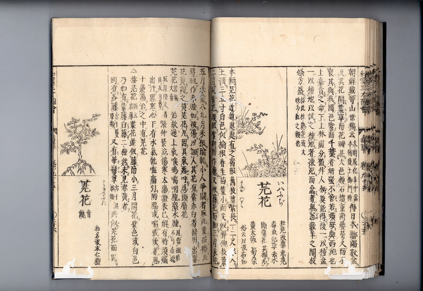 화한삼재도회 원화 원화1.jpg