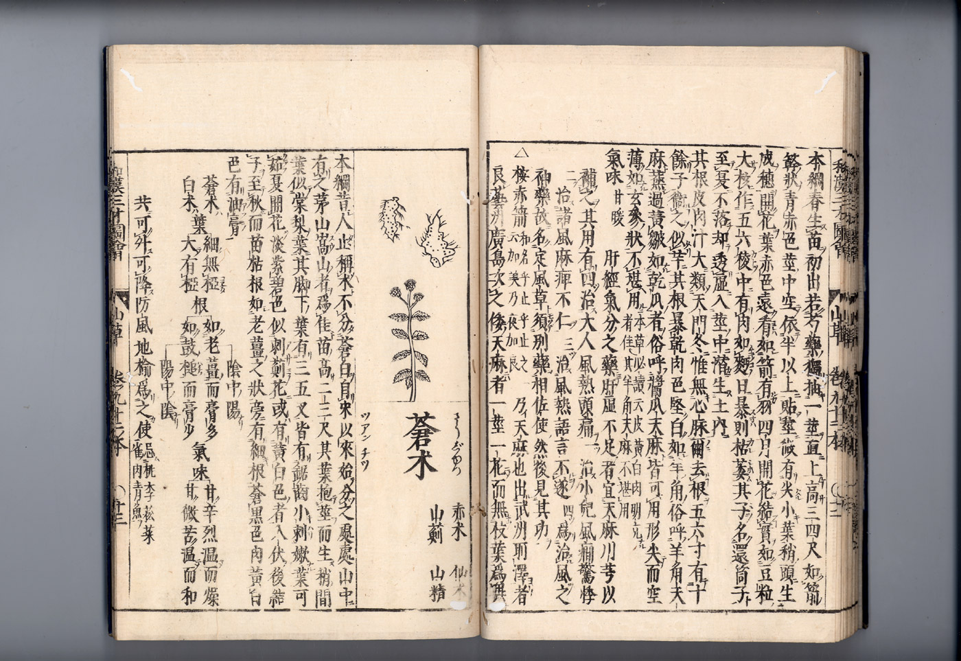 화한삼재도회 출 출1.jpg