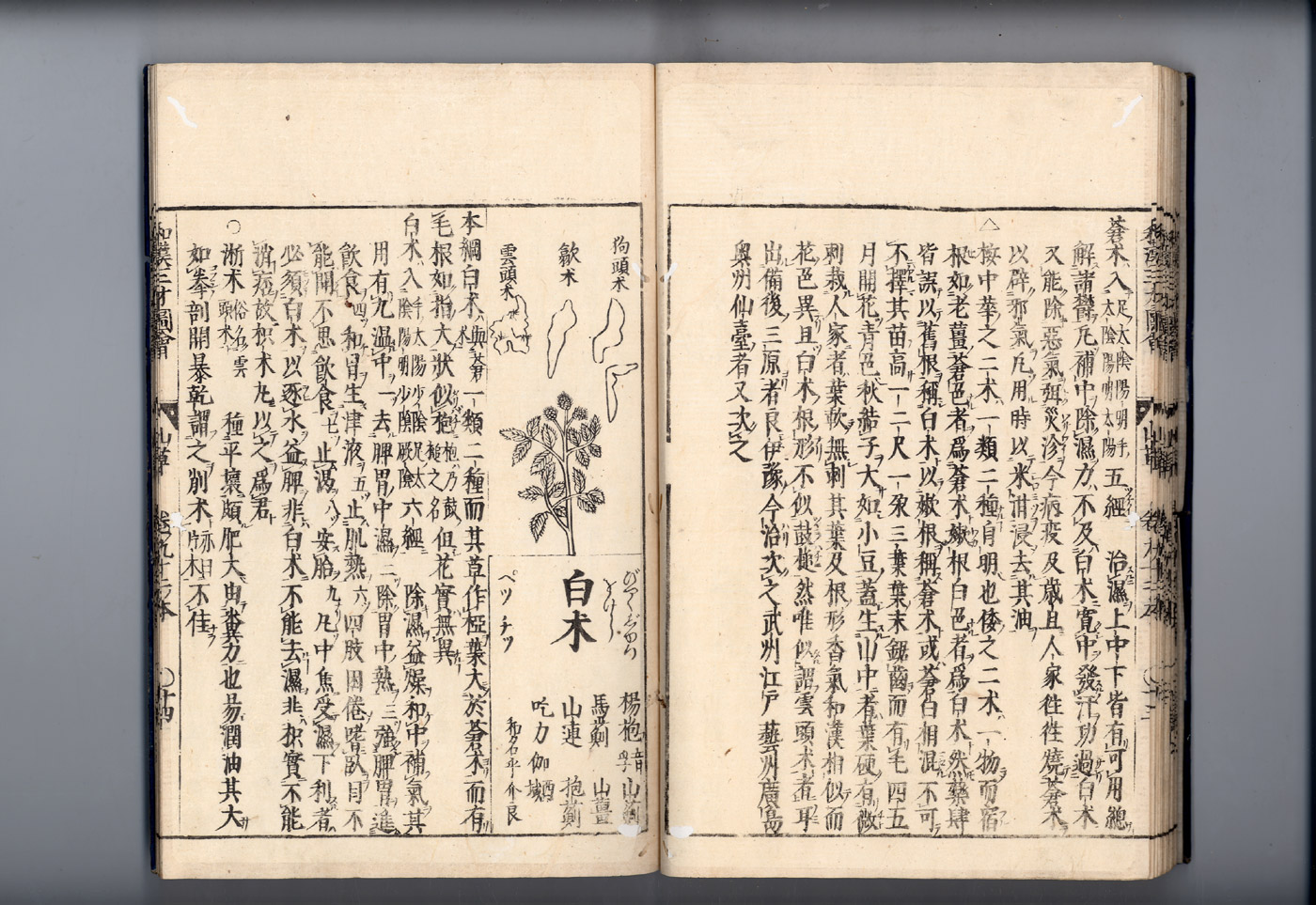 화한삼재도회 출 출2.jpg