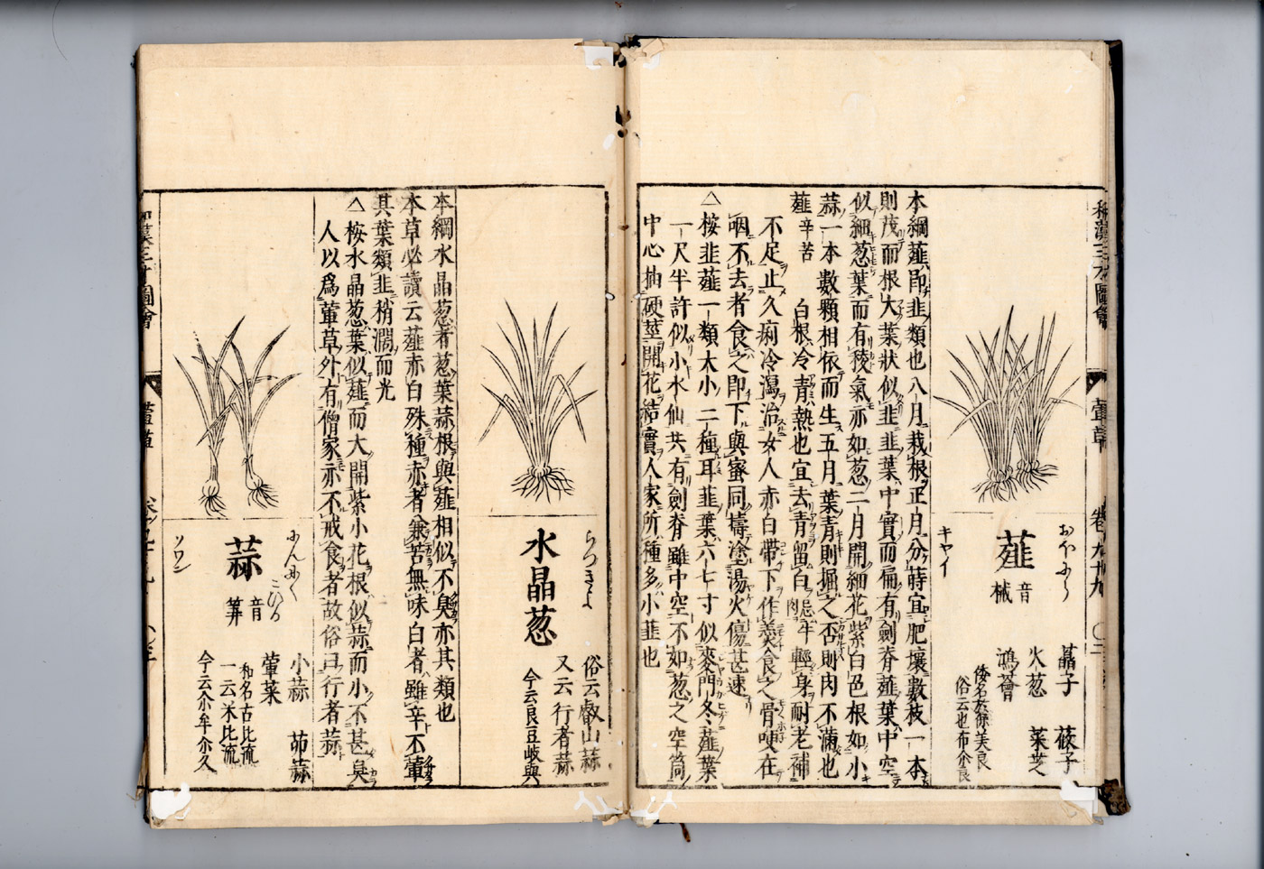 화한삼재도회 해백 해백.jpg