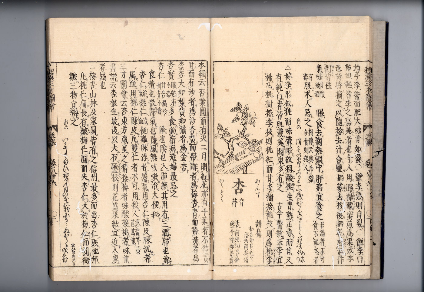 화한삼재도회 행인 행인1.jpg