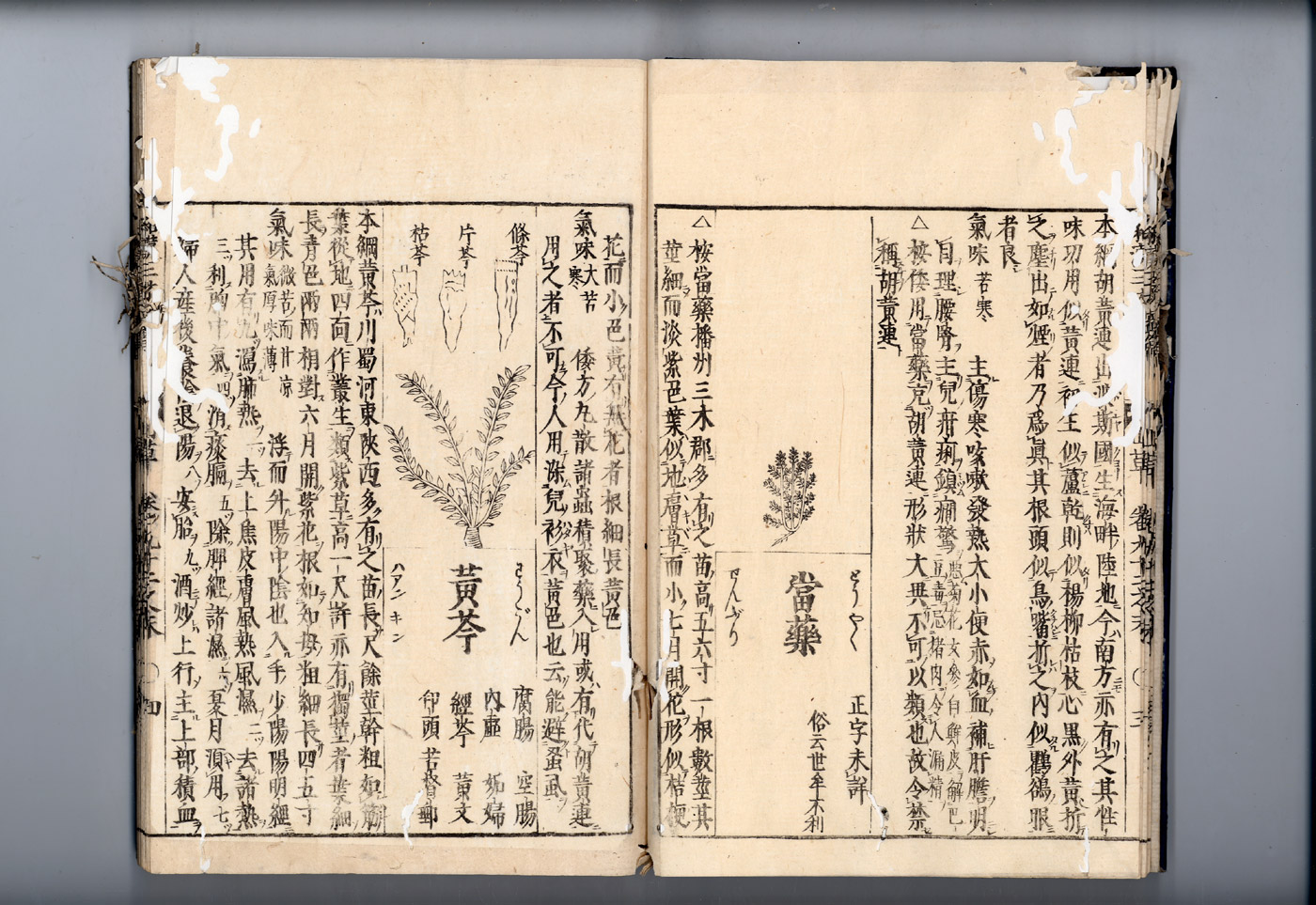 화한삼재도회 황금 황금1.jpg